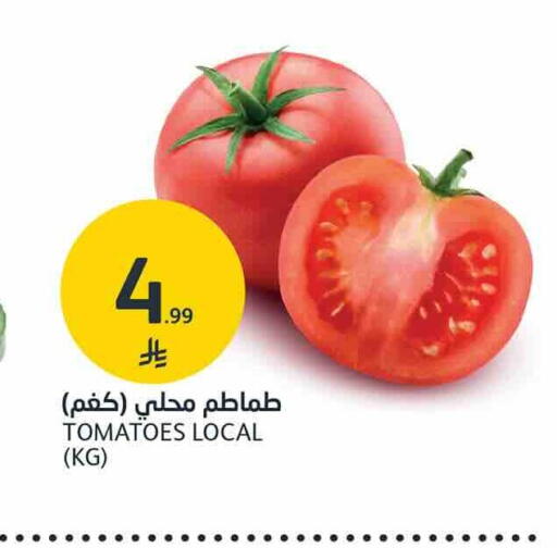 Tomato متوفر لدى أسواق الجزيرة في مملكة العربية السعودية, السعودية, سعودية - الرياض