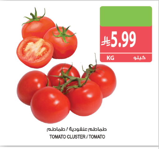 Tomato available at Farm  in KSA, Saudi Arabia, Saudi - Al Khobar