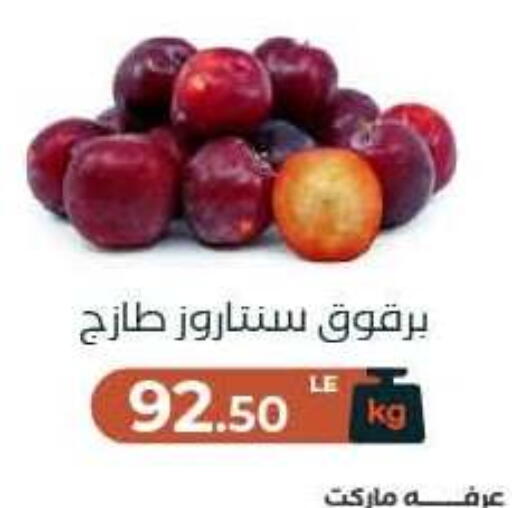 available at Arafa Market in Egypt - Cairo