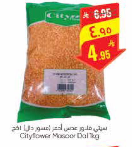 available at City Flower in KSA, Saudi Arabia, Saudi - Hail