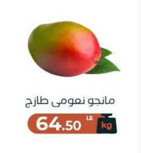 available at Arafa Market in Egypt - Cairo