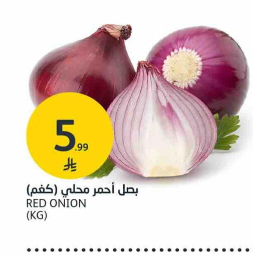 Onion available at AlJazera Shopping Center in KSA, Saudi Arabia, Saudi - Riyadh