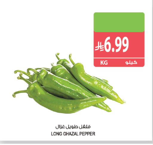 Pepper available at المزرعة in مملكة العربية السعودية, السعودية, سعودية - جازان