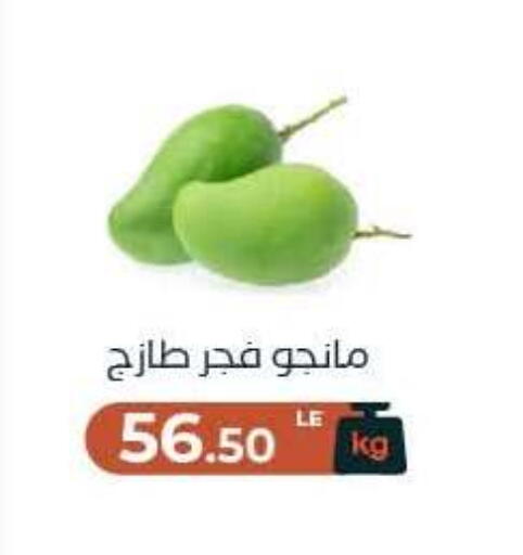 available at Arafa Market in Egypt - Cairo