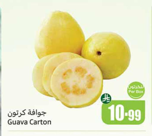 Guava available at أسواق عبد الله العثيم in مملكة العربية السعودية, السعودية, سعودية - مكة المكرمة