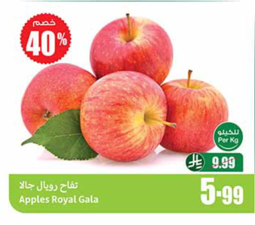 available at أسواق عبد الله العثيم in مملكة العربية السعودية, السعودية, سعودية - مكة المكرمة