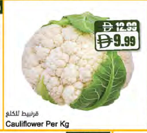Cauliflower متوفر لدى المايا سوبرماركت في الإمارات العربية المتحدة , الامارات - دبي