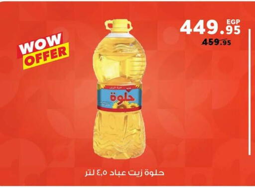available at Panda  in Egypt - Cairo