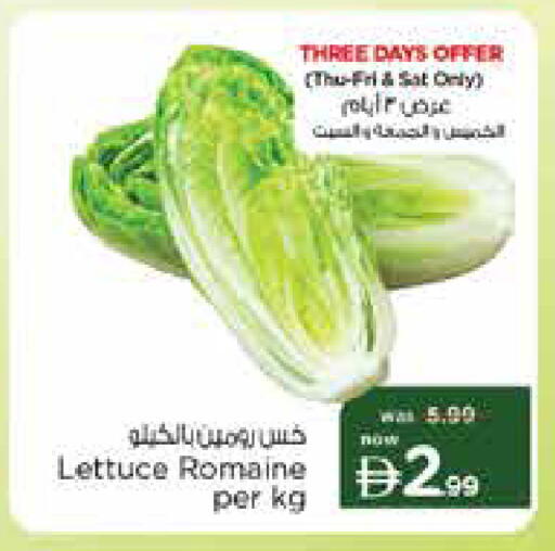 Lettuce available at نستو هايبرماركت in الإمارات العربية المتحدة , الامارات - دبي