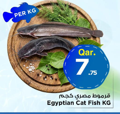 available at Mark & Save  in Qatar - Umm Salal