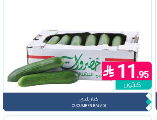 Cucumber available at اسواق المنتزه in مملكة العربية السعودية, السعودية, سعودية - القطيف‎