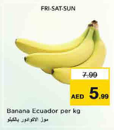 Banana from Ecuador available at نستو هايبرماركت in الإمارات العربية المتحدة , الامارات - أم القيوين‎