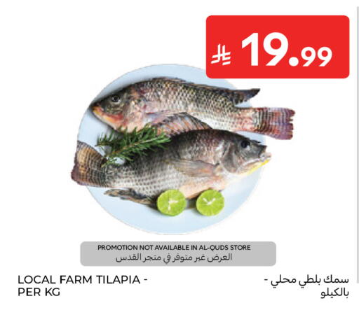 متوفر لدى كارفور في مملكة العربية السعودية, السعودية, سعودية - الرياض