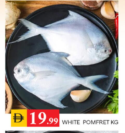 available at سوق طلال in الإمارات العربية المتحدة , الامارات - الشارقة / عجمان