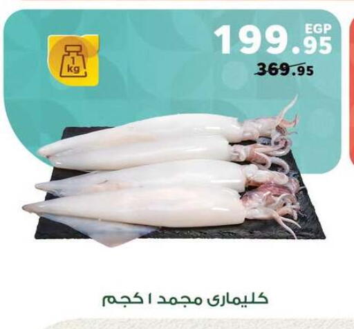 available at بنده in Egypt - القاهرة