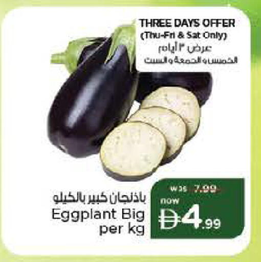 Eggplant available at نستو هايبرماركت in الإمارات العربية المتحدة , الامارات - ٱلْفُجَيْرَة‎