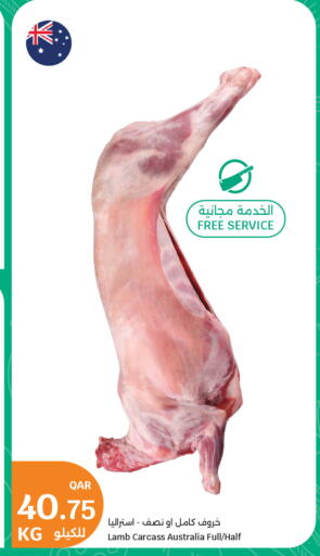 available at سيتي هايبرماركت in قطر - أم صلال