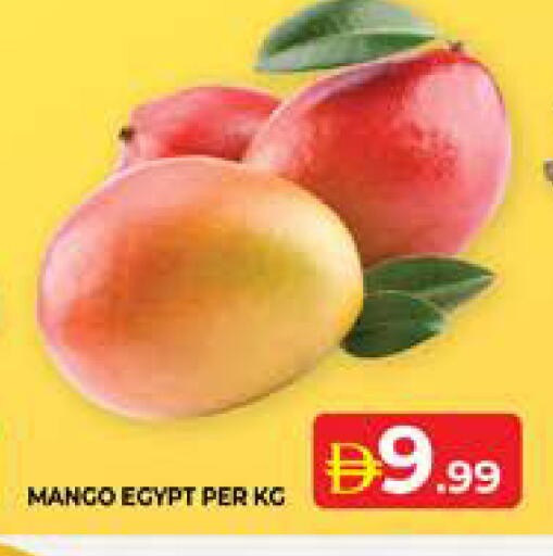 Mango from Egypt available at الامارات السبع سوبر ماركت in الإمارات العربية المتحدة , الامارات - أبو ظبي