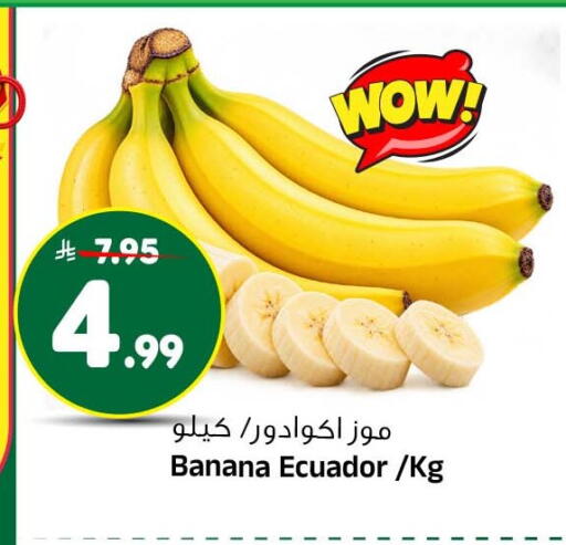 Banana from Ecuador available at Al Madina Hypermarket in KSA, Saudi Arabia, Saudi - Riyadh