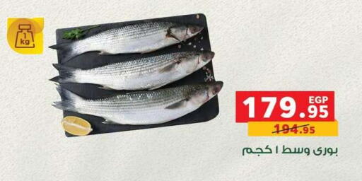 available at Panda  in Egypt - Cairo