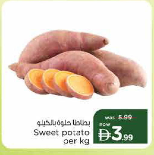 Sweet Potato متوفر لدى نستو هايبرماركت في الإمارات العربية المتحدة , الامارات - دبي