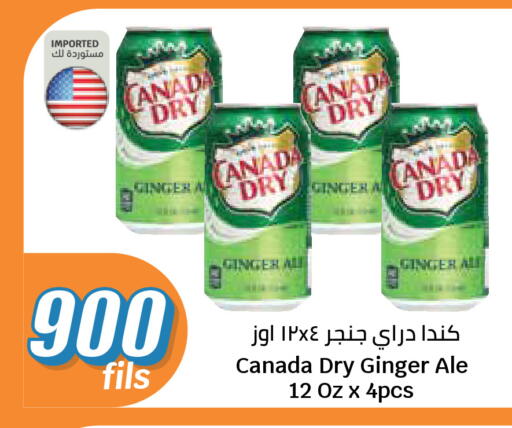 Ginger available at City Hypermarket in Kuwait - Jahra Governorate