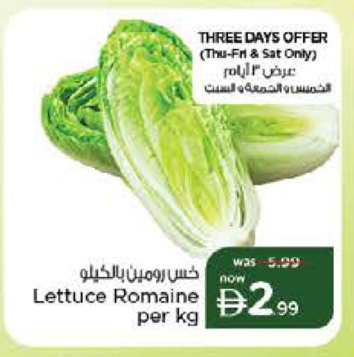 Lettuce available at نستو هايبرماركت in الإمارات العربية المتحدة , الامارات - ٱلْفُجَيْرَة‎