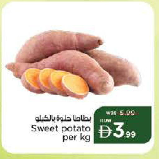 Sweet Potato available at نستو هايبرماركت in الإمارات العربية المتحدة , الامارات - ٱلْفُجَيْرَة‎