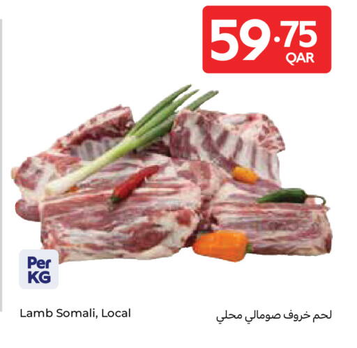 available at كارفور in قطر - الدوحة