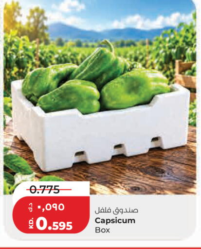 Capsicum available at Lulu Hypermarket  in Kuwait - Kuwait City