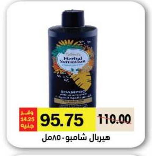 available at رويال هاوس in Egypt - القاهرة