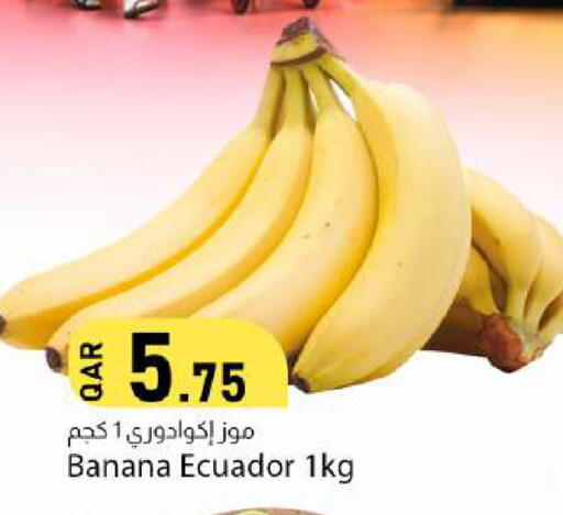 Banana from Ecuador available at Dana Market in Qatar - Al Rayyan