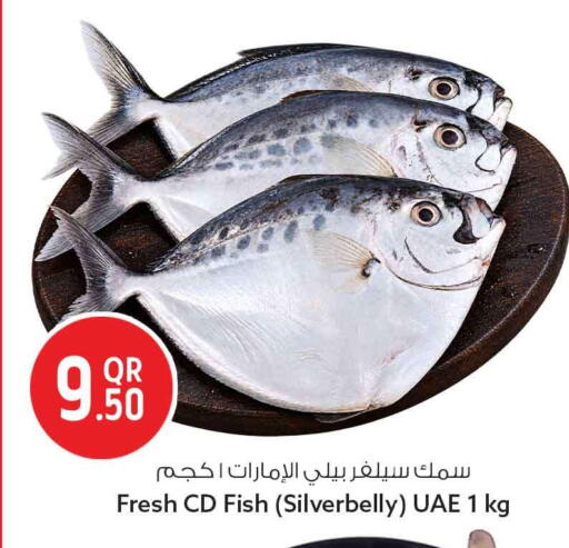available at سفاري هايبر ماركت in قطر - أم صلال
