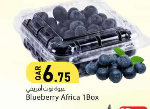 Blueberry BlueBerry available at دانا ماركت in قطر - الريان