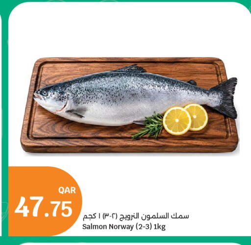 available at سيتي هايبرماركت in قطر - الخور