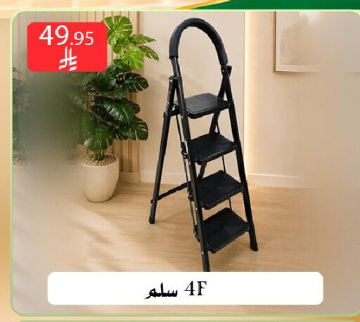 متوفر لدى ركن العائلة في مملكة العربية السعودية, السعودية, سعودية - الرياض