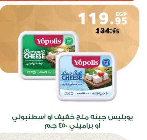 available at Panda  in Egypt - Cairo