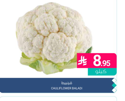 Cauliflower available at اسواق المنتزه in مملكة العربية السعودية, السعودية, سعودية - القطيف‎