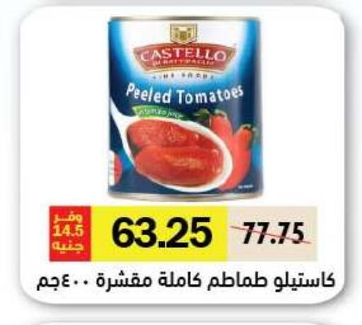 Tomato available at رويال هاوس in Egypt - القاهرة