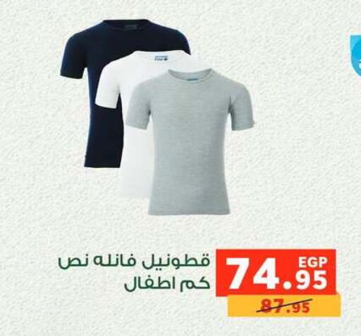available at Panda  in Egypt - Cairo