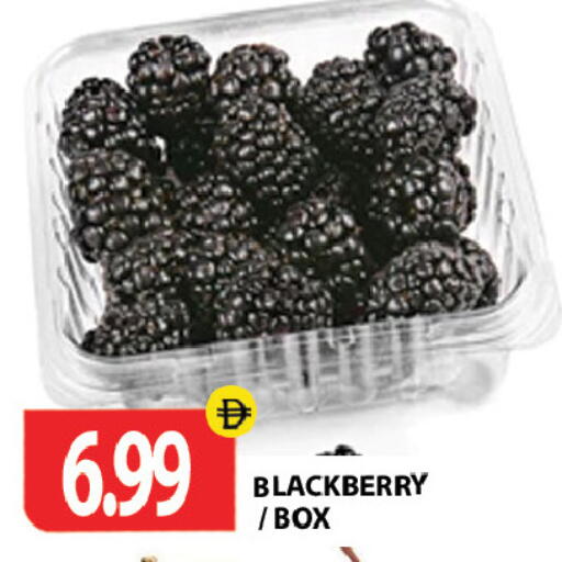 Blackberry available at Gulf Hypermarket LLC in UAE - Ras al Khaimah
