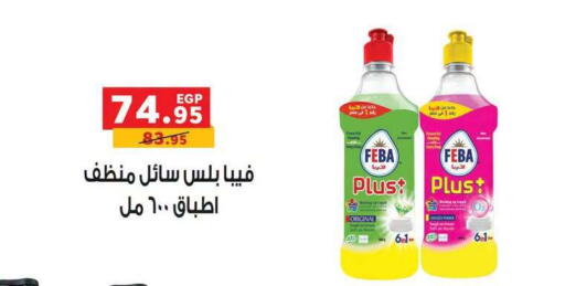 available at Panda  in Egypt - Cairo