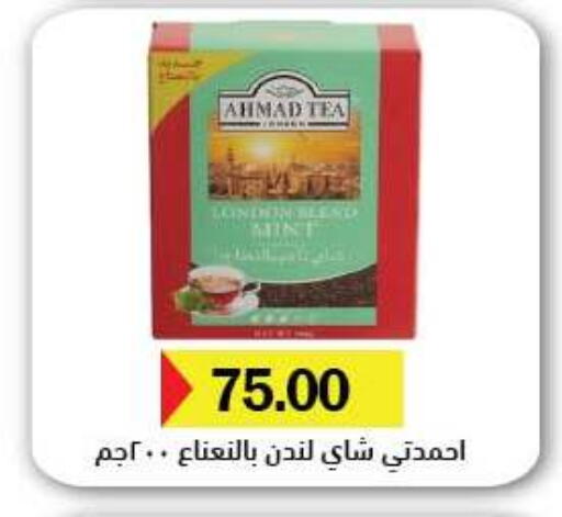 Mint available at رويال هاوس in Egypt - القاهرة