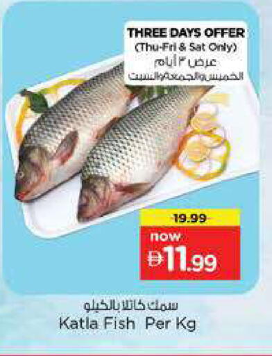 available at نستو هايبرماركت in الإمارات العربية المتحدة , الامارات - دبي