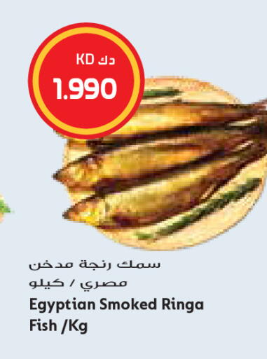 available at جراند كوستو in الكويت - مدينة الكويت
