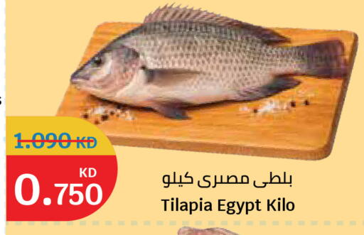 متوفر لدى سيتي هايبرماركت في الكويت - محافظة الأحمدي