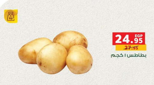 available at Panda  in Egypt - Cairo