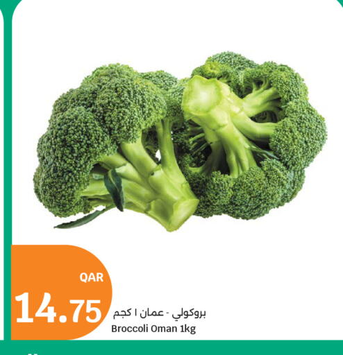 Broccoli from Oman available at سيتي هايبرماركت in قطر - أم صلال