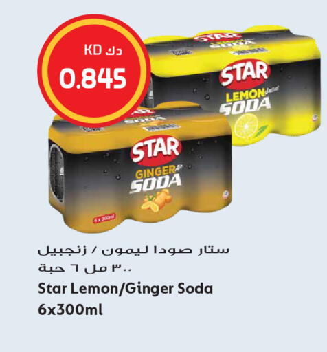 Lemon Ginger available at Grand Hyper in Kuwait - Kuwait City