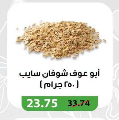 available at Panda  in Egypt - Cairo